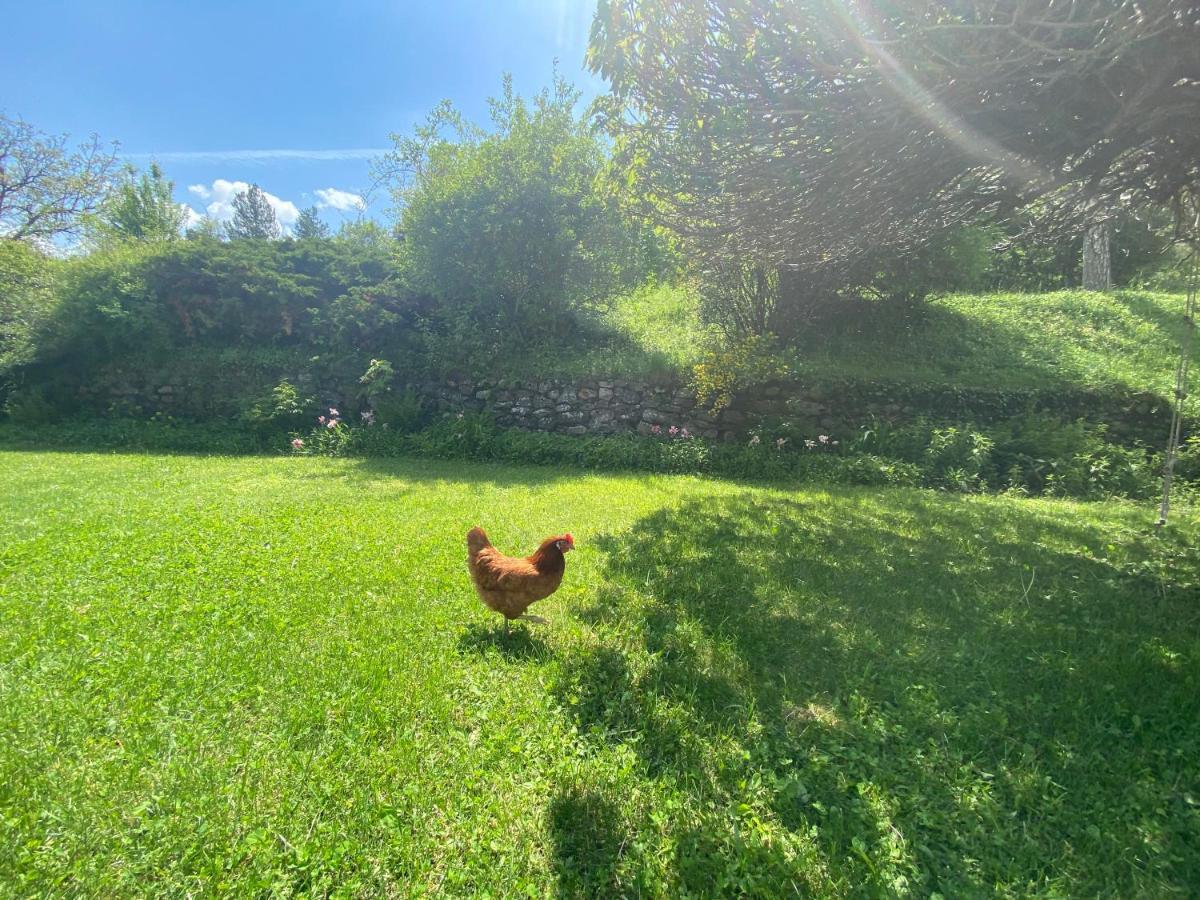 La Genevraie Holiday home Gap